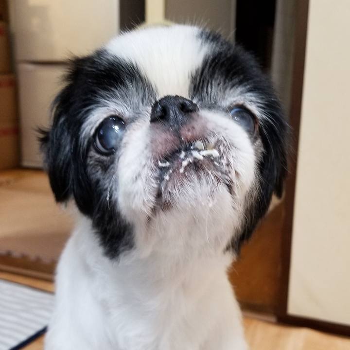 Fe9187c5 3fd3 4d13 b785 7245c6125504 1594811277719