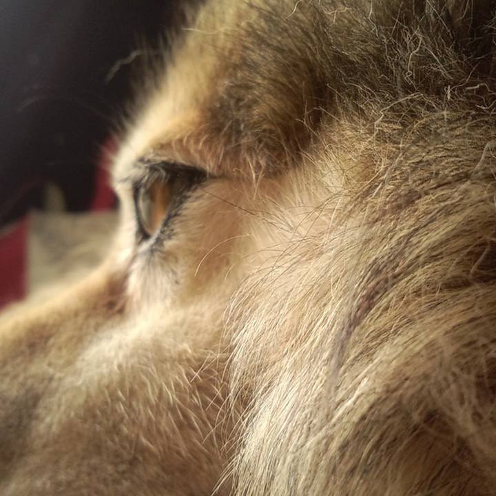 Fe919036 57e9 45e2 89a4 11c8bafb7d97 1608950784778