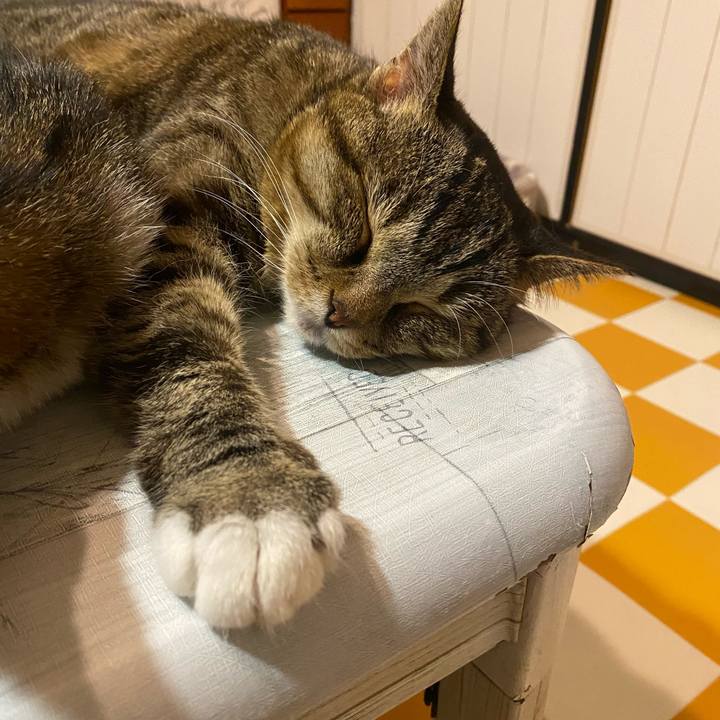 Fe919309 455d 4697 aa11 dabdb2f2922b 1689716445569