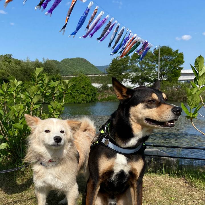 Fe91c6d7 c7c7 4dd4 88d8 5086bf7eba98 1651565639254