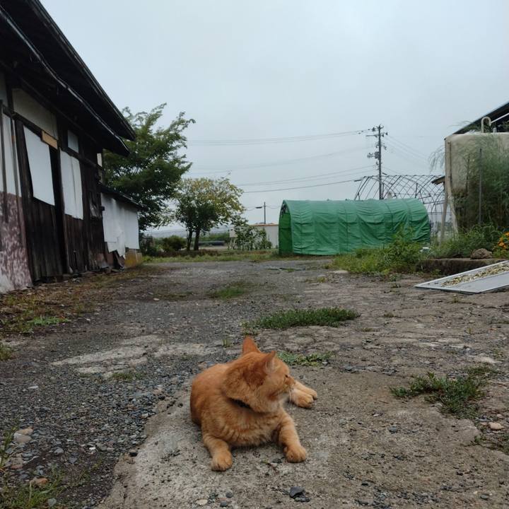 Fe91d142 ae0a 4b0b 8267 211cc7245796 1692403713593