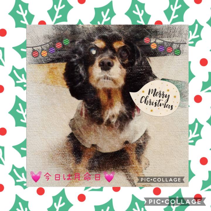 Fe91e972 69b7 4002 963e 952ab1e8dacb 1576977677157