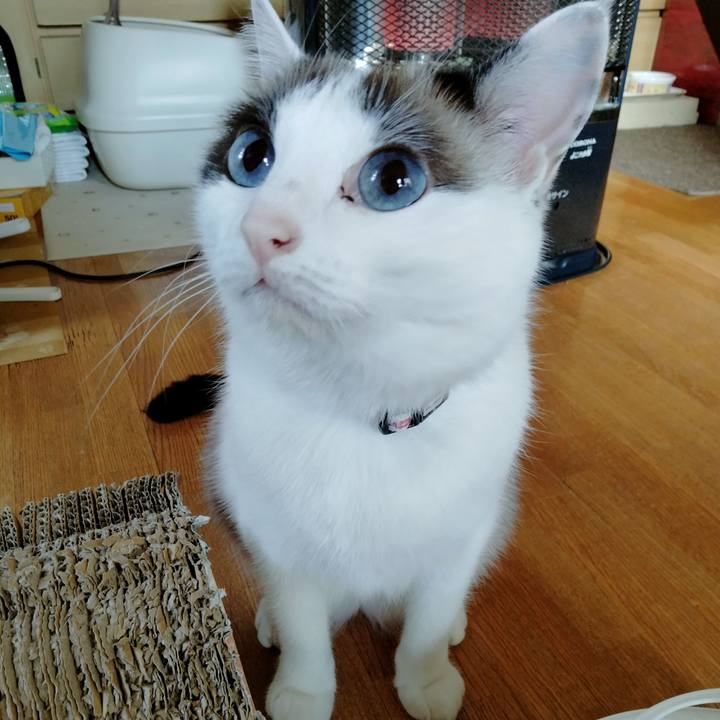 Fe923319 92a0 4bc4 9e1c df4e6c1c0fec 1653664638770