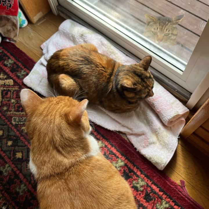 Fe927bd9 696a 4c0c 8334 4a062863fada 1748904601988