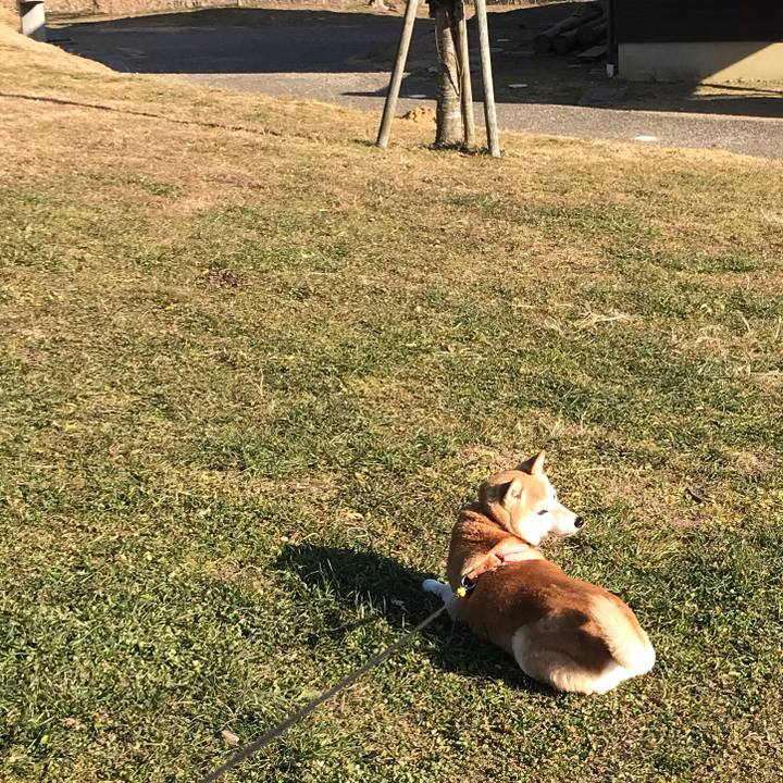 Fe928e36 1991 4e13 9a49 041f7a44e522 1548313446491