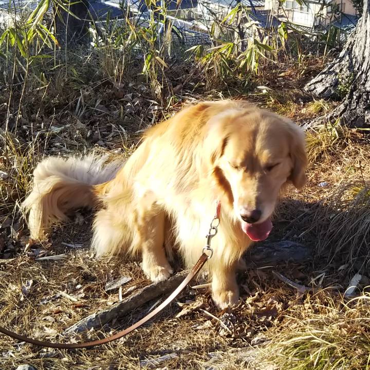 Fe92ba18 bf5e 4141 b3ec cf5821016be6 1552126041357