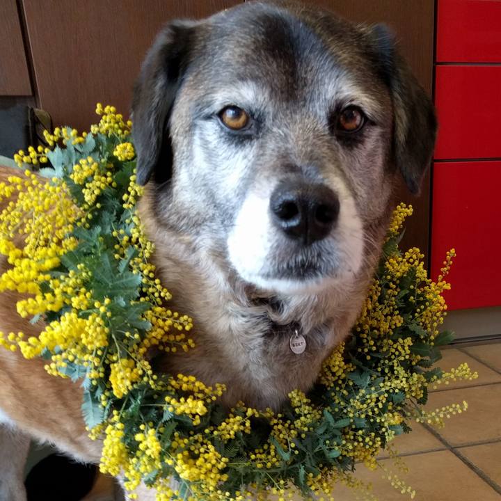 Fe92d69d 4224 43f4 b520 030ed2b4285e 1646700970141