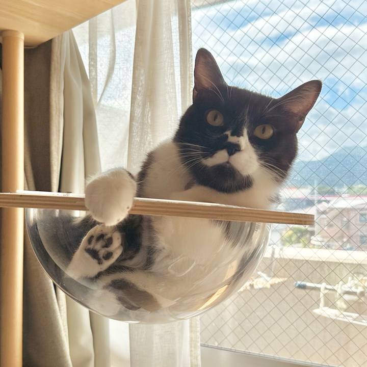 Fe93049a 20a1 4ea6 a253 c8722f7bd33b 1754450807114