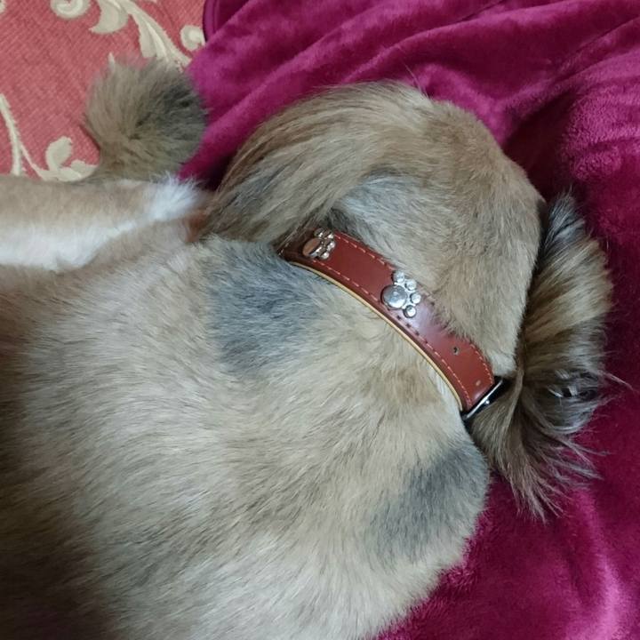 Fe93150e f985 413c 8691 7e6e4b8e5236 1510931957401