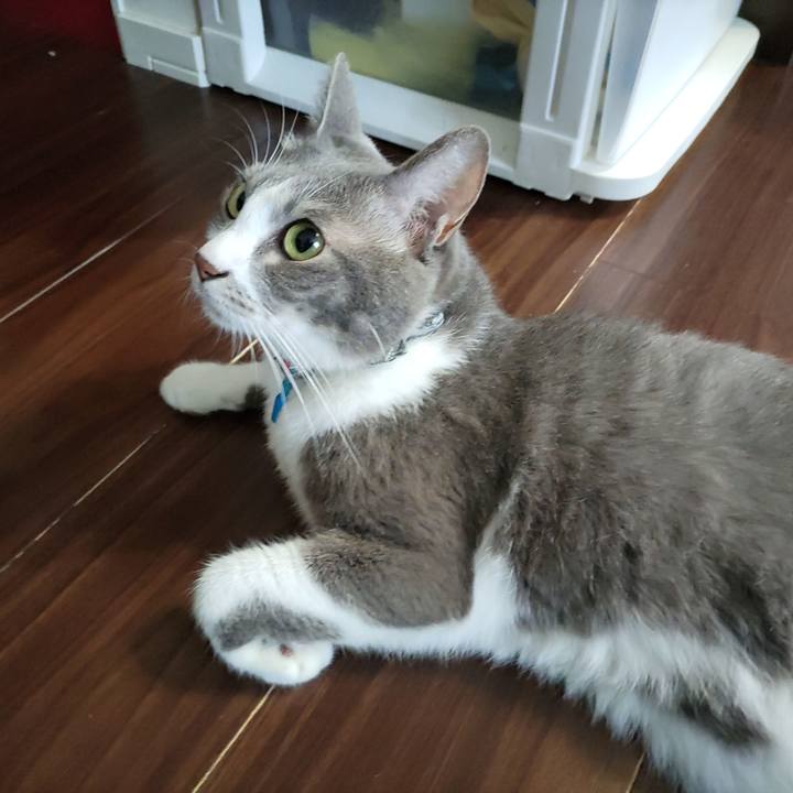 Fe932593 af16 4f88 a986 1962f6879b5c 1694388647393