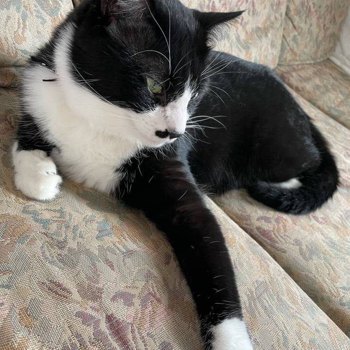 Fe937801 0652 4d2c a67d ea49ce6125a0 1655520265682