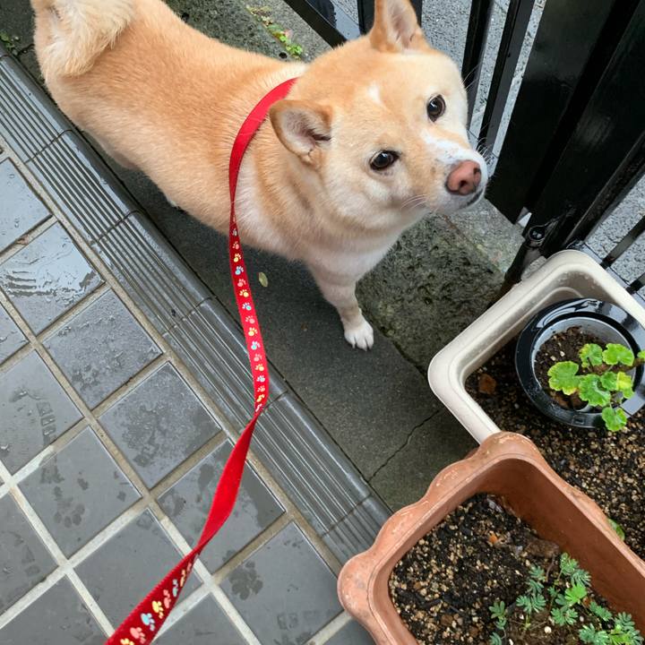 Fe94031a 691f 4067 89fe b58cf6e8bd3c 1630658224751