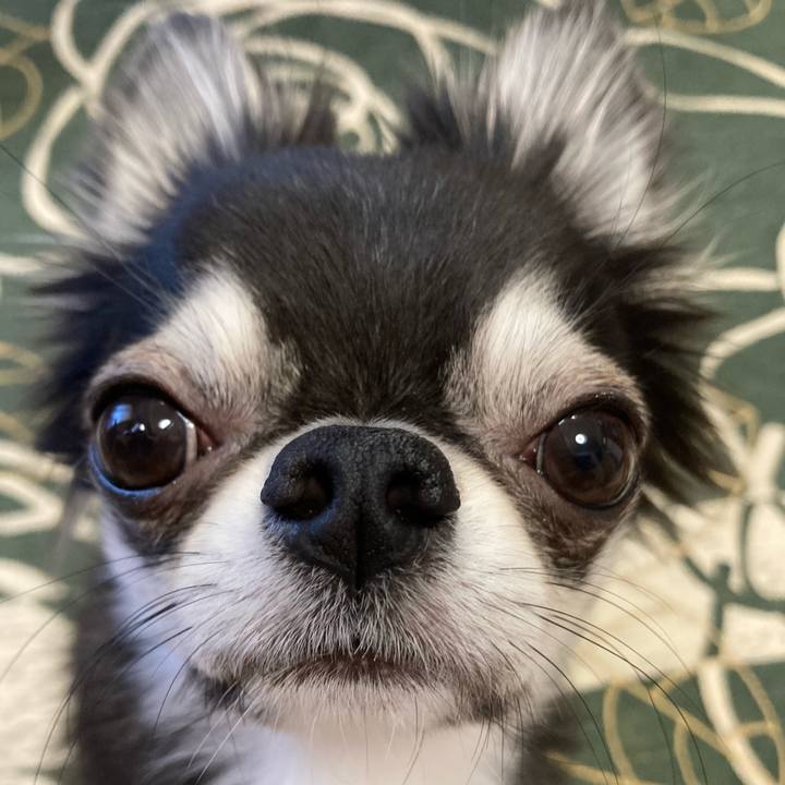 Fe946831 9e71 4402 8448 be95a6c3550e 1639781974134