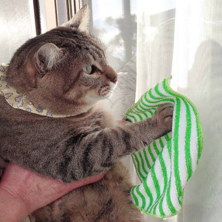 Fe94d7f0 a315 48fc ac46 7e79305662b2 1764587297692