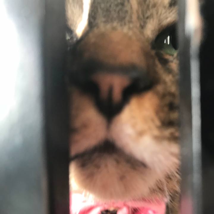 Fe94e1ac 2b43 43a2 a378 74268139b4ca 1514593994215