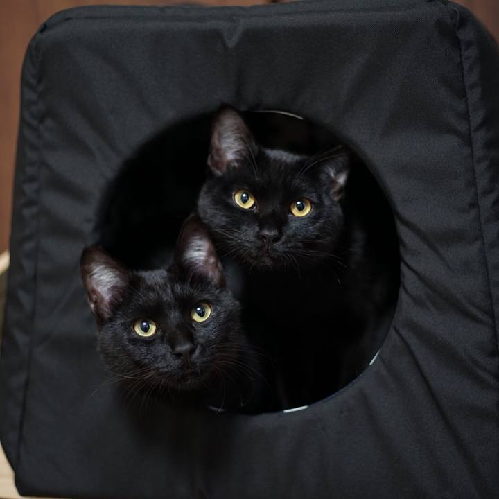 Fe955f9c fc6c 4099 9ece 0862e57a2b68 1516318143965