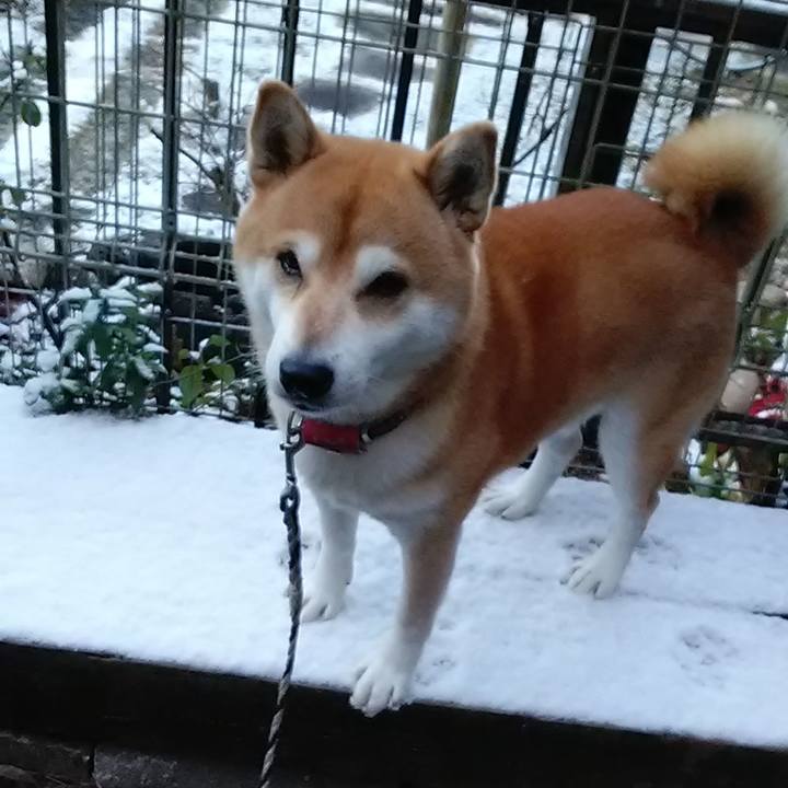 Fe959093 8979 4541 9536 87007f6df9c1 1609375460372