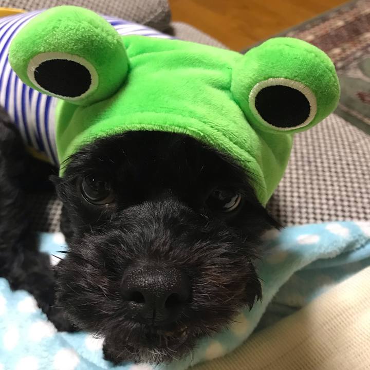 Fe959430 0008 40e6 ab5d 7ab1f54c50ef 1552305057449