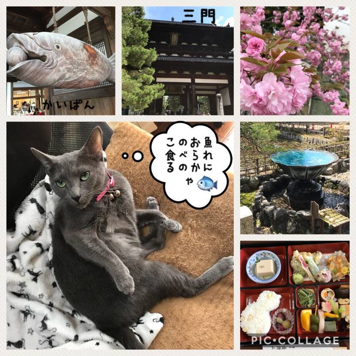 Fe959643 2dca 4278 9718 01dd0ee431e2 1523172248088