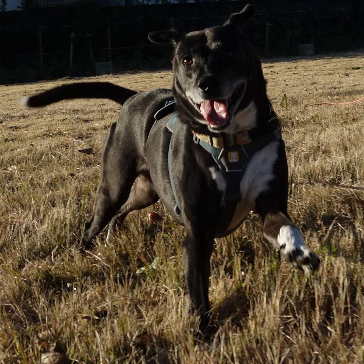 Fe95c765 ce45 4069 bdaf 818e612b5cec 1732842000378