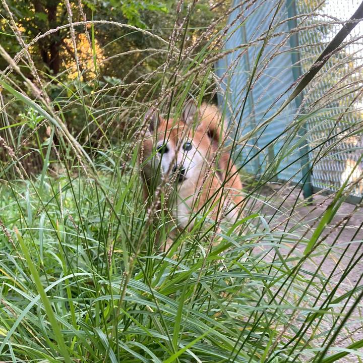 Fe962ff3 411c 4972 b631 ede699d52f76 1697586422161