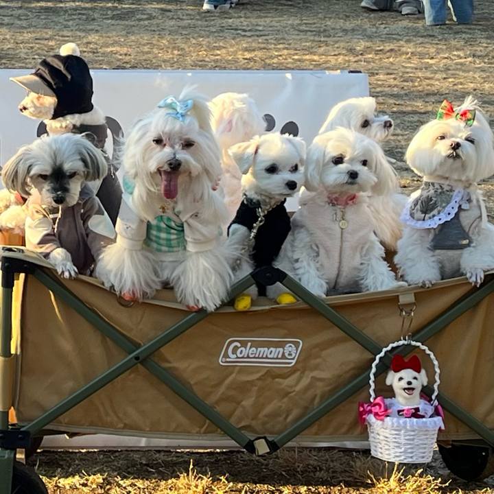 Fe963b64 5527 4e4e 86c5 cf4d03594734 1765099726218