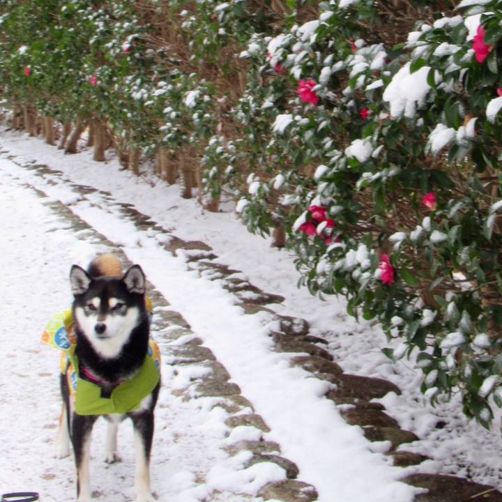 Fe9651c2 8df1 419c b7aa b7c4ebcaa3b1 1553377797773