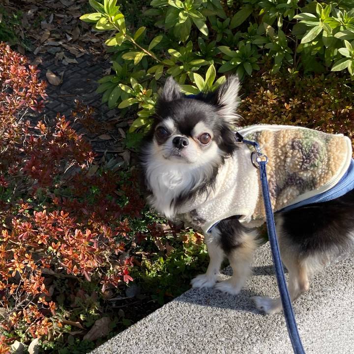 Fe966db7 4ac1 430e baac a3ae0b2ae933 1676732768247