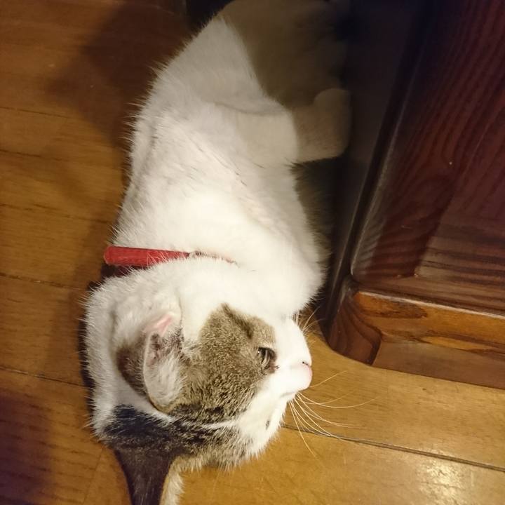 Fe967491 f4db 43e9 84ff e5f50a072e7b 1535125018957