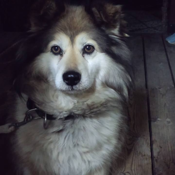 Fe9687d4 aa27 4a54 a762 748f84ec3fe0 1572189838593