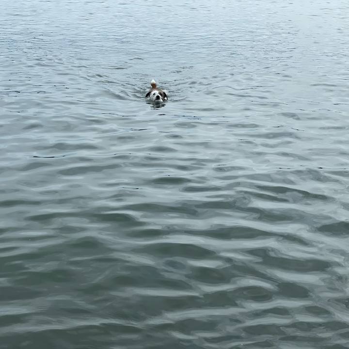 Fe968b2b c4f5 4206 a0e8 525f15988366 1724195963340