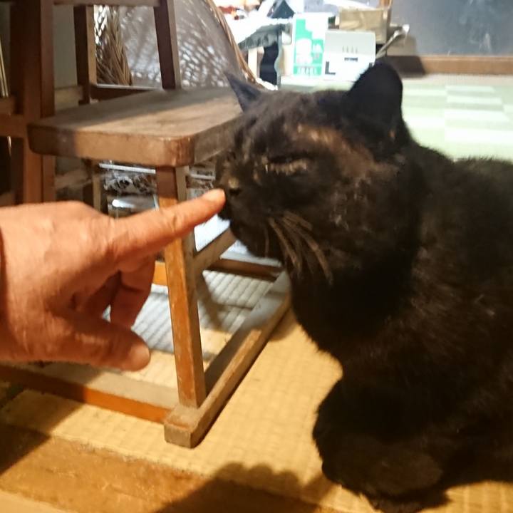 Fe968bdc 87ae 4f0a b24c c94e4b981646 1617881231423