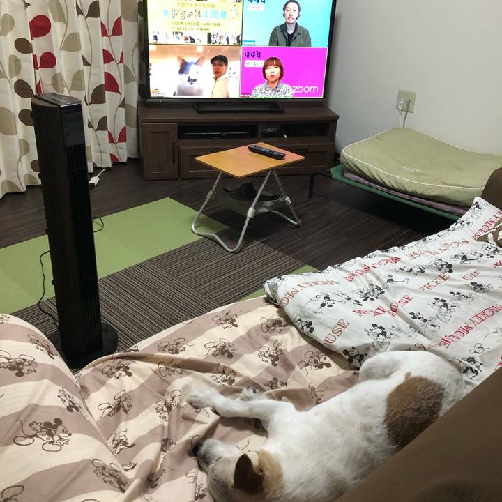 Fe96b7da 06ad 4882 89c8 071f75e1acbb 1591355639609