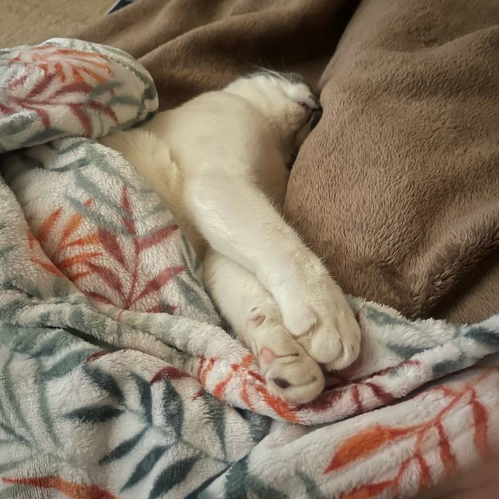 Fe96d108 b5e2 47cc bb15 2d7cf59013ed 1701219985810