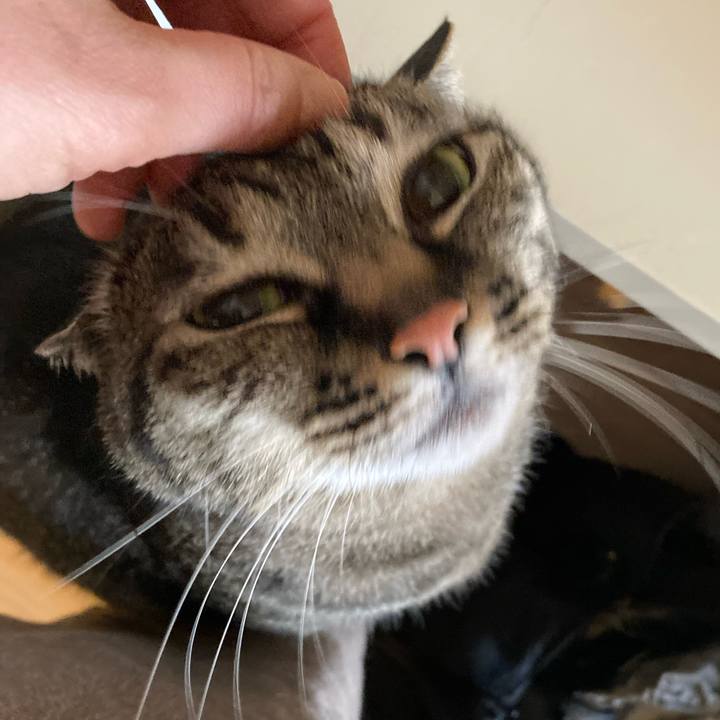 Fe96d58d 33cf 45d0 a05c 290aacd0da09 1647384295918