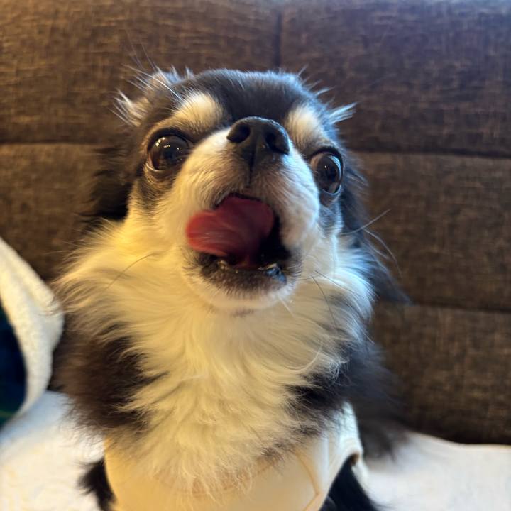 Fe9726a3 6e13 46ad b2f2 9db18c73d7d4 1763833089078