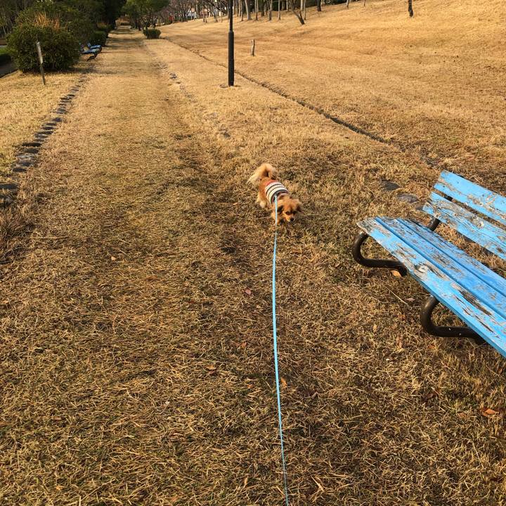 Fe972bc6 18a6 4ab7 9cff 66cfc2fccfe8 1543713604895