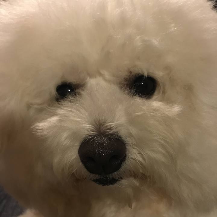 Fe972d92 c1fa 4b8e b5a4 2520a4a2962d 1528375687542