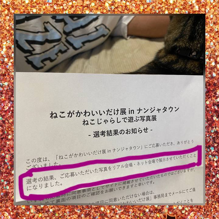 Fe9734b7 205f 4427 a16a f80158bc583c 1604116528539