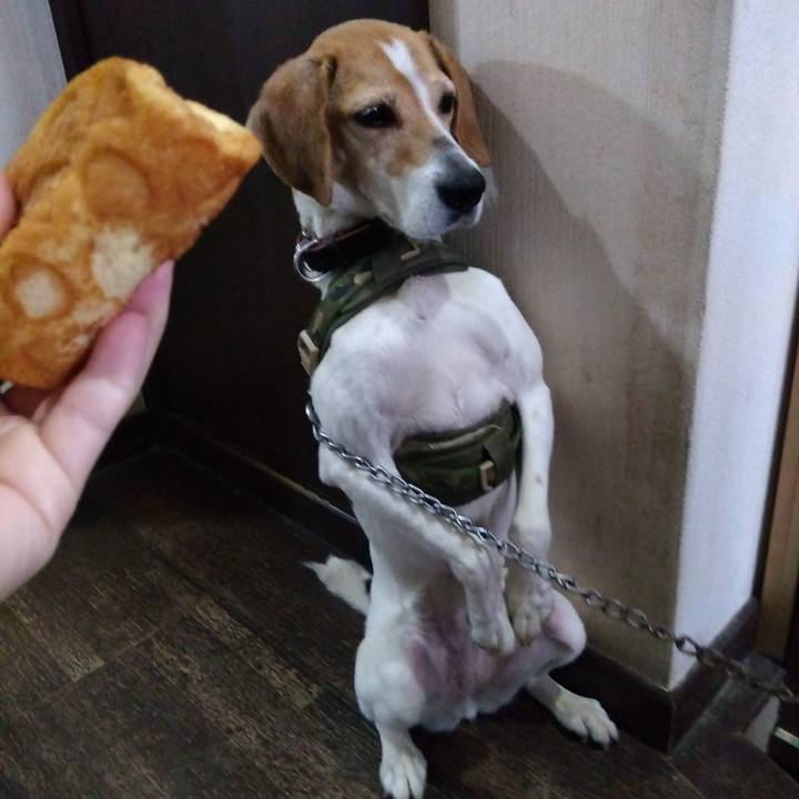 Fe9736f2 d2a5 4fe0 8df3 63083f9960b5 1685437130235