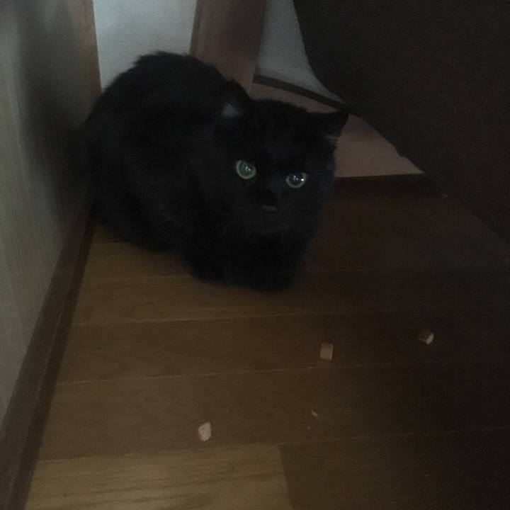 Fe97523a fc52 430c bb07 602ed0fc57fa 1543979972781