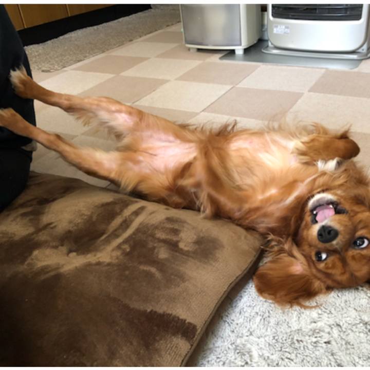 Fe975738 e4c9 417f 84f1 16140c6b06f4 1554416310603