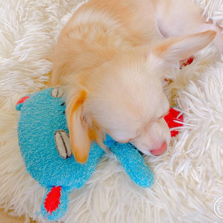 Fe97b3e3 ee3c 4c8f b9cd 41e257e012f0 1635757677087