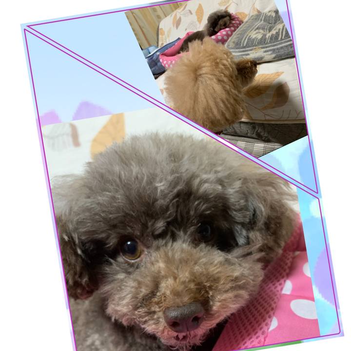 Fe980119 0220 47b0 b89d 32d06cc0767e 1591786802265