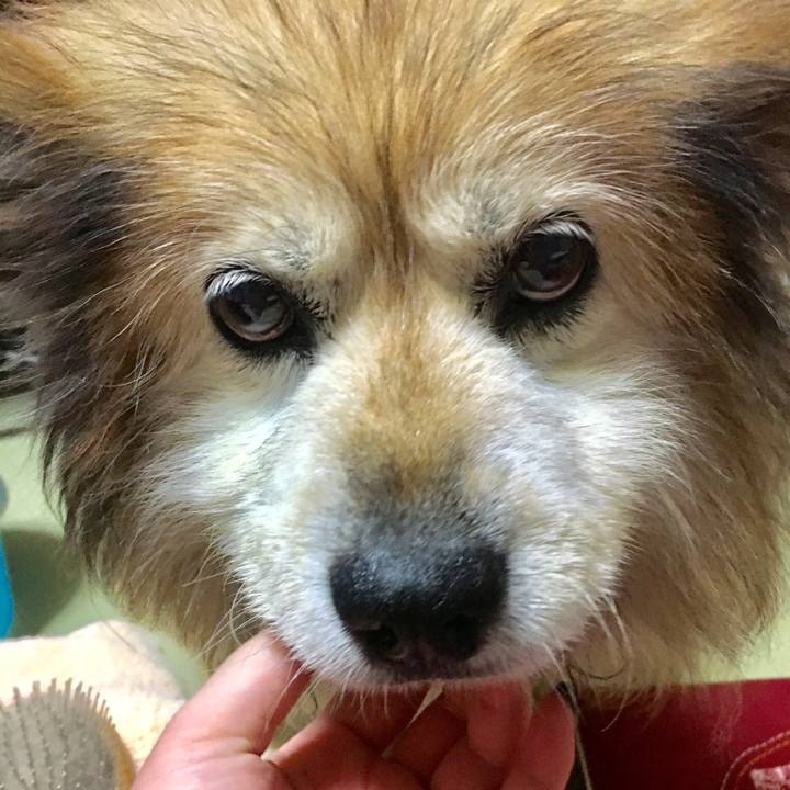 Fe989636 3a78 4b5b 845c 0307c306275e 1554114468569