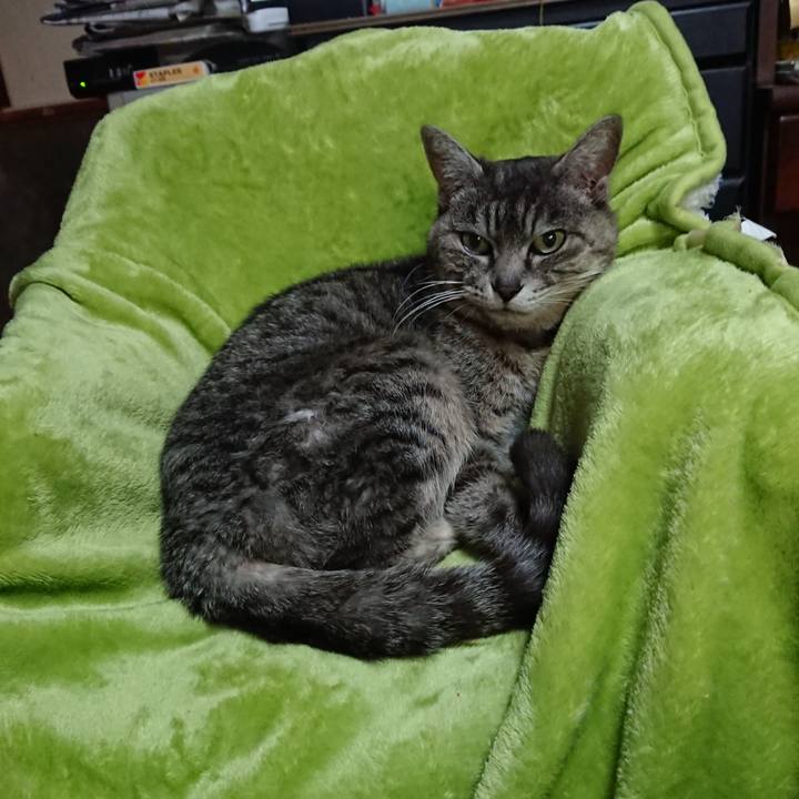 Fe98b393 8dac 4e09 b05b 0e71e4f3b6ef 1583704346115