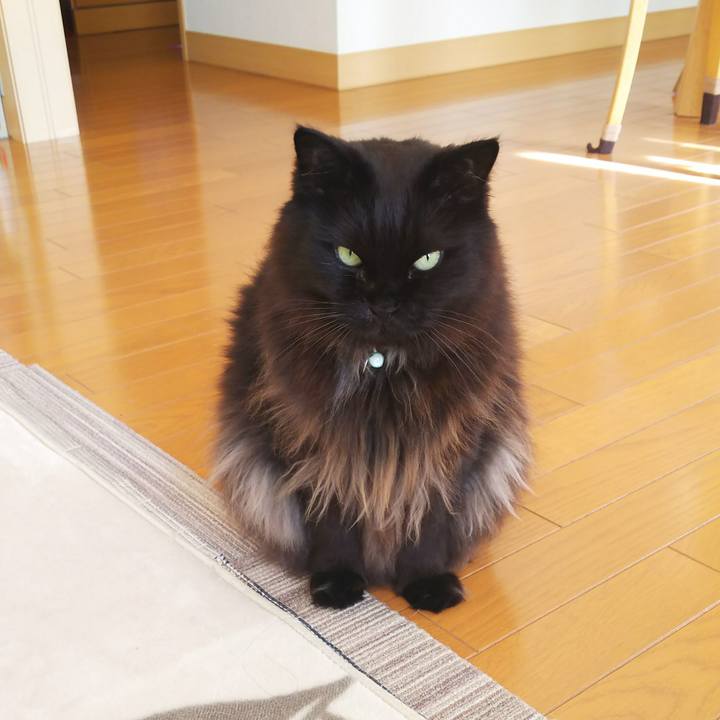 Fe9908f6 ed9c 4d1a 8a98 a1362bd63e47 1517971572230