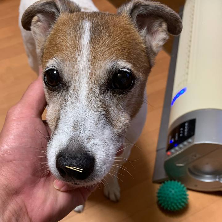 Fe9909a8 bd1f 49cb aacb 6b5aafdce6f6 1594299734065