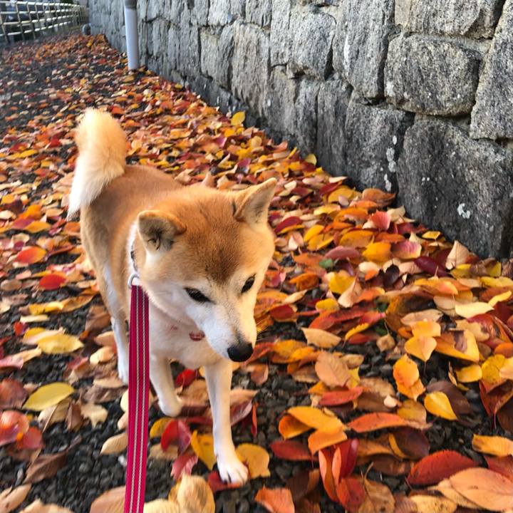 Fe990ef8 cfce 42b3 911d 2139f53757b4 1638318445817