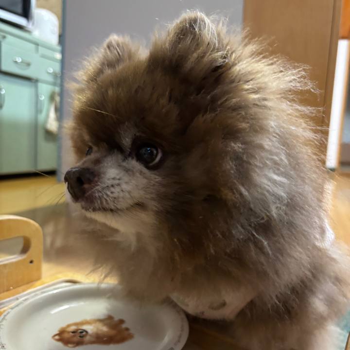 Fe9918c1 83d0 4c28 9b55 88703c925dff 1767132882860